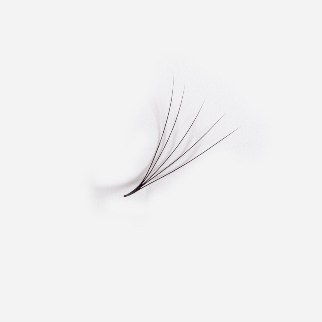 5D Promade 500 Loose Fans