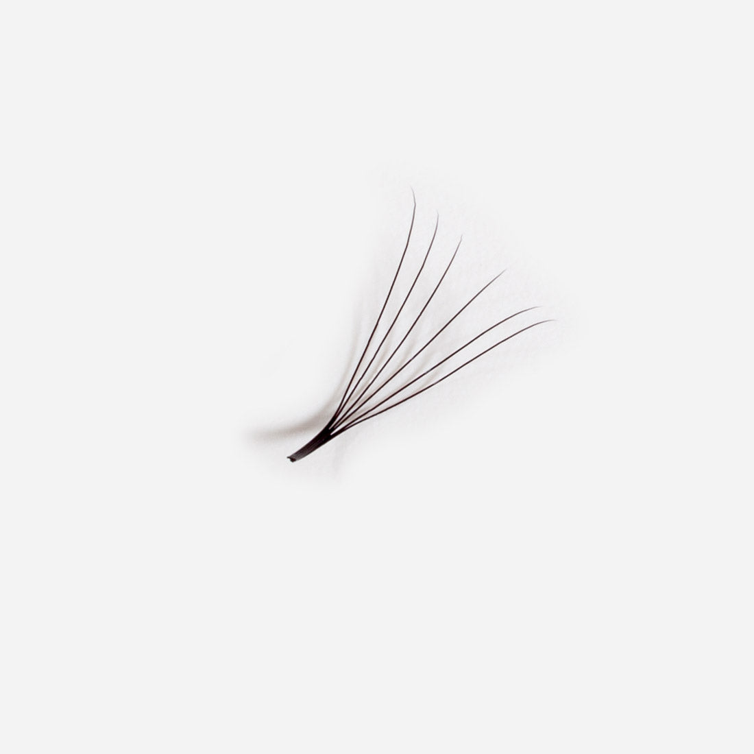 7D Promade 500 Loose Fans