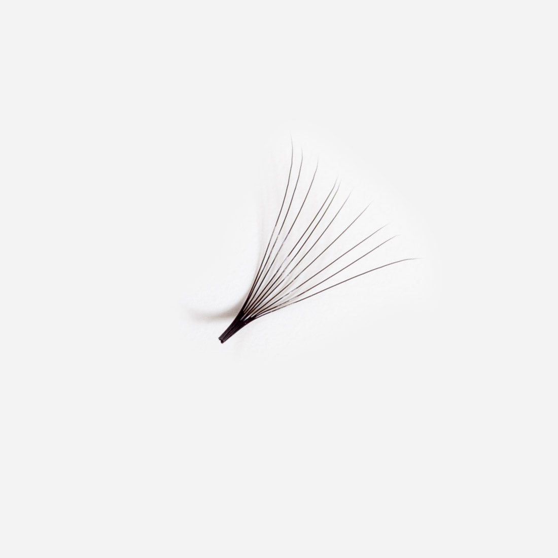 10D Promade 500 Loose Fans