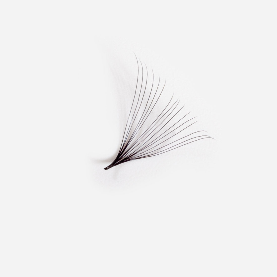 16D Promade 500 Loose Fans
