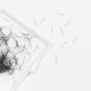 2D Promade 500 Loose Fans