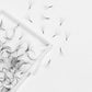 6D Promade 500 Loose Fans